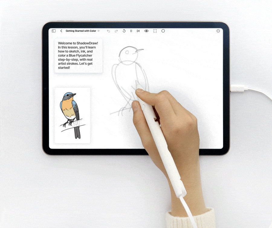 shadow-draw-900x753-animation