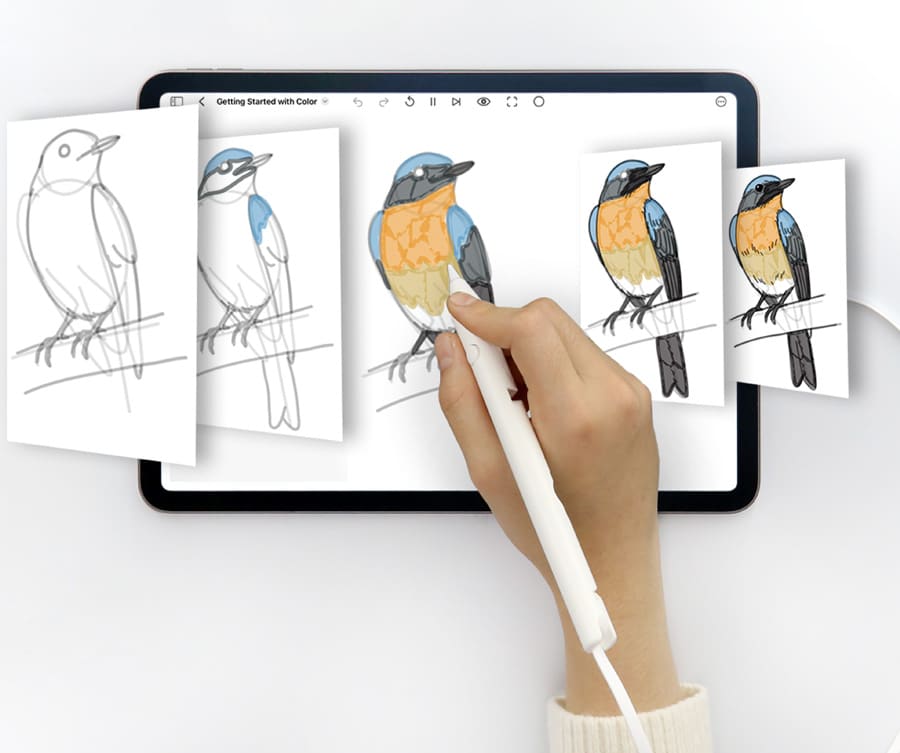 learn to draw a bird with SonarPen 2 and shadowdraw on iPad