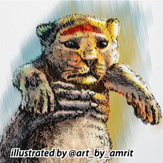 babytiger